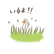 Funny Ducks 3rd sticker #6727573