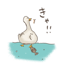 Funny Ducks 3rd sticker #6727576