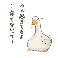 Funny Ducks 3rd sticker #6727583