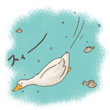 Funny Ducks 3rd sticker #6727602