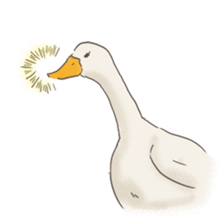 Funny Ducks 3rd sticker #6727603