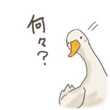 Funny Ducks 3rd sticker #6727604