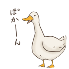 Funny Ducks 3rd sticker #6727605