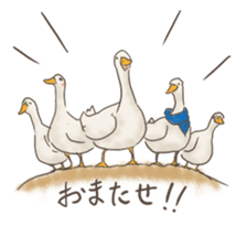 Funny Ducks 3rd sticker #6727606