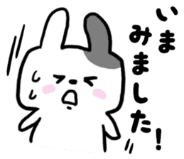 Busy rabbit sticker #6728570