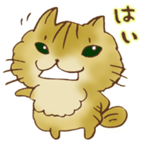 Kenta of chinchillacat! sticker #6728928