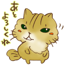 Kenta of chinchillacat! sticker #6728958