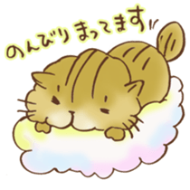 Kenta of chinchillacat! sticker #6728965