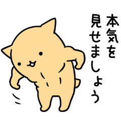 nyankuma2