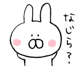 Mr. rabbit of Niigata valve sticker #6732398