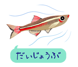 ANIMALS_STICKER3 sticker #6733798