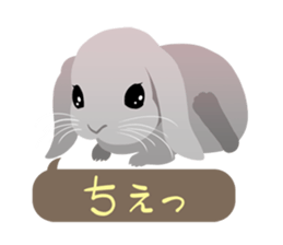 ANIMALS_STICKER3 sticker #6733804