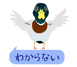 ANIMALS_STICKER3 sticker #6733805