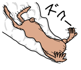 enjoy bear sticker #6735473