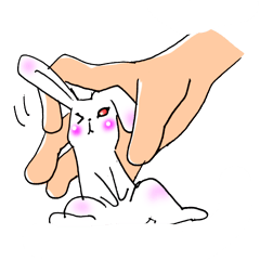 Miss Bunny is in Love