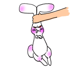 Miss Bunny is in Love sticker #6735732