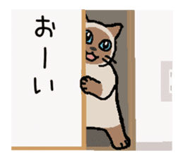 Kitten of Siam "Myasuke" sticker #6735888