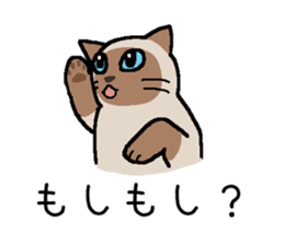 Kitten of Siam "Myasuke" sticker #6735890