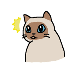 Kitten of Siam "Myasuke" sticker #6735891