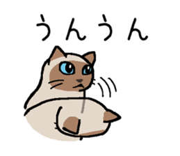 Kitten of Siam "Myasuke" sticker #6735892