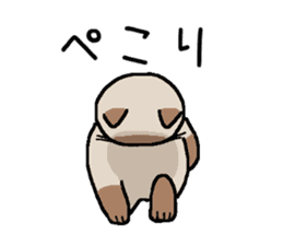 Kitten of Siam "Myasuke" sticker #6735893
