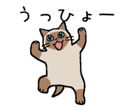 Kitten of Siam "Myasuke" sticker #6735896