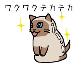 Kitten of Siam "Myasuke" sticker #6735899