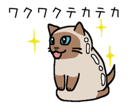 Kitten of Siam "Myasuke" sticker #6735899