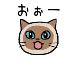 Kitten of Siam "Myasuke" sticker #6735900