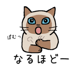 Kitten of Siam "Myasuke" sticker #6735903