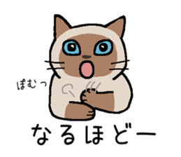 Kitten of Siam "Myasuke" sticker #6735903