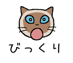Kitten of Siam "Myasuke" sticker #6735905
