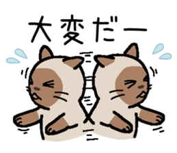 Kitten of Siam "Myasuke" sticker #6735906