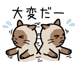 Kitten of Siam "Myasuke" sticker #6735906