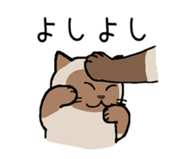 Kitten of Siam "Myasuke" sticker #6735907