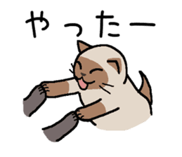 Kitten of Siam "Myasuke" sticker #6735908