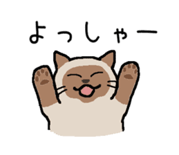 Kitten of Siam "Myasuke" sticker #6735909