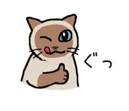 Kitten of Siam "Myasuke" sticker #6735911