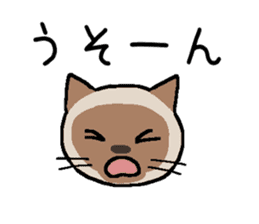 Kitten of Siam "Myasuke" sticker #6735913