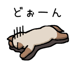 Kitten of Siam "Myasuke" sticker #6735915