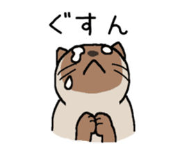 Kitten of Siam "Myasuke" sticker #6735917