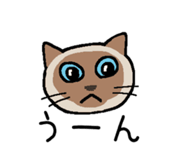Kitten of Siam "Myasuke" sticker #6735919