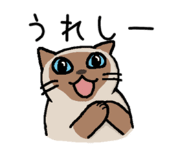Kitten of Siam "Myasuke" sticker #6735921