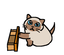 Kitten of Siam "Myasuke" sticker #6735923