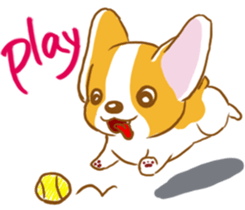 Corgi-Guei sticker #6736274