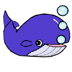 Poti of whale