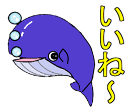 Poti of whale sticker #6736334