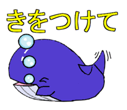 Poti of whale sticker #6736350