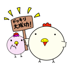 Mr. COCCO