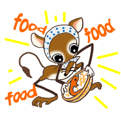 I am an elephant shrew